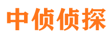 细河侦探公司